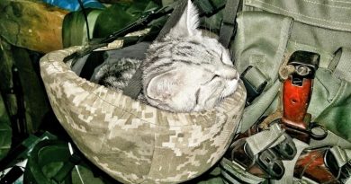 Инсайд: Президент подписал Закон о сроке службы контрактников Инсайд: Президент подписал Закон о сроке службы контрактников