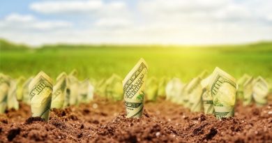 Убытки от коррупции = убытки от моратория на продажу земли Убытки от коррупции = убытки от моратория на продажу земли