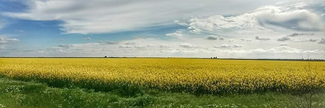Україна сьогодні виграла!