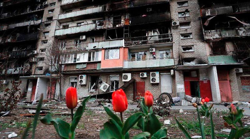 Протиотрута від зневіри